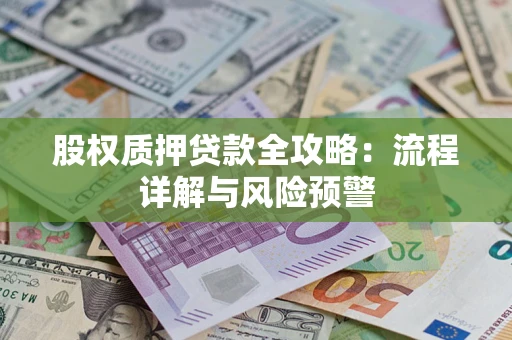 北京股权质押贷款全攻略：流程详解与风险预警
