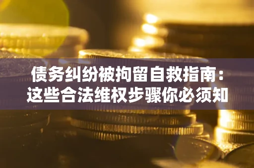 北京债务纠纷被拘留自救指南：这些合法维权步骤你必须知道！