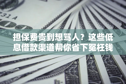 北京担保费贵到想骂人？这些低息借款渠道帮你省下冤枉钱