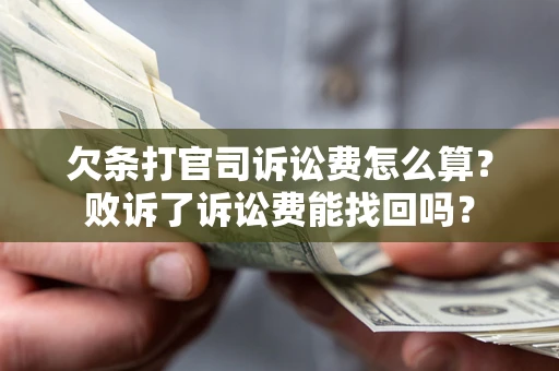 北京欠条打官司诉讼费怎么算？败诉了诉讼费能找回吗？