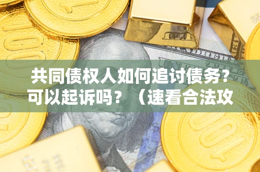 北京共同债权人如何追讨债务？可以起诉吗？（速看合法攻略）