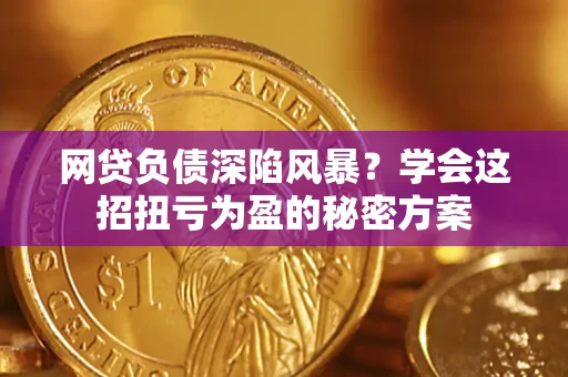 北京网贷负债深陷风暴？学会这招扭亏为盈的秘密方案